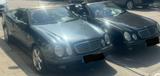 Mercedes-Benz CLK 230 KOMPRESSOR Sport Cabrio jungtimer - gebrauchte Mercedes-Benz CLK 230 aus dem Jahr 1999