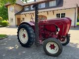 Porsche Allgaier AP 17 V System-Porsche 1953 Kein AP 16! - Porsche Schlepper