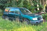 Subaru Forester 2.0 GL GL - gebrauchte Subaru Forester aus dem Jahr 1998