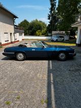 Jaguar XJS Cabrio  - Jaguar XJS Gebrauchtwagen