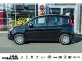 Fiat Pandina ICON Hybrid 1.0 GSE TEMPOMAT PDC LANE KL - schwarze Fiat New Panda