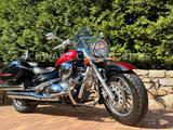 Suzuki C 800 VL INTRUDER CHOPPER + VIELE EXTRAS - SUZUKI INTRUDER C 800
