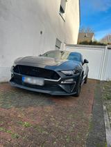 Ford Mustang - Ford Mustang Gebrauchtwagen in Düsseldorf