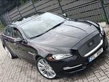 Jaguar XJ Portfolio 3.0 V6 Kompressor AWD Langver. - Jaguar XJ: V6