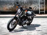 Harley-Davidson XL1200N Nightster Sportster - AMC Auspuff - HARLEY-DAVIDSON SPORTSTER