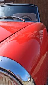 Alfa Romeo Spider 1750 Veloce (Rundheck) - Alfa Romeo Spider: Cabrio, Rundheck