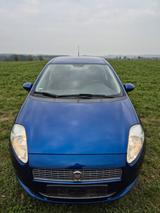 Fiat Punto 1.4 8V Active Active - Fiat Punto aus 2009: 1.4