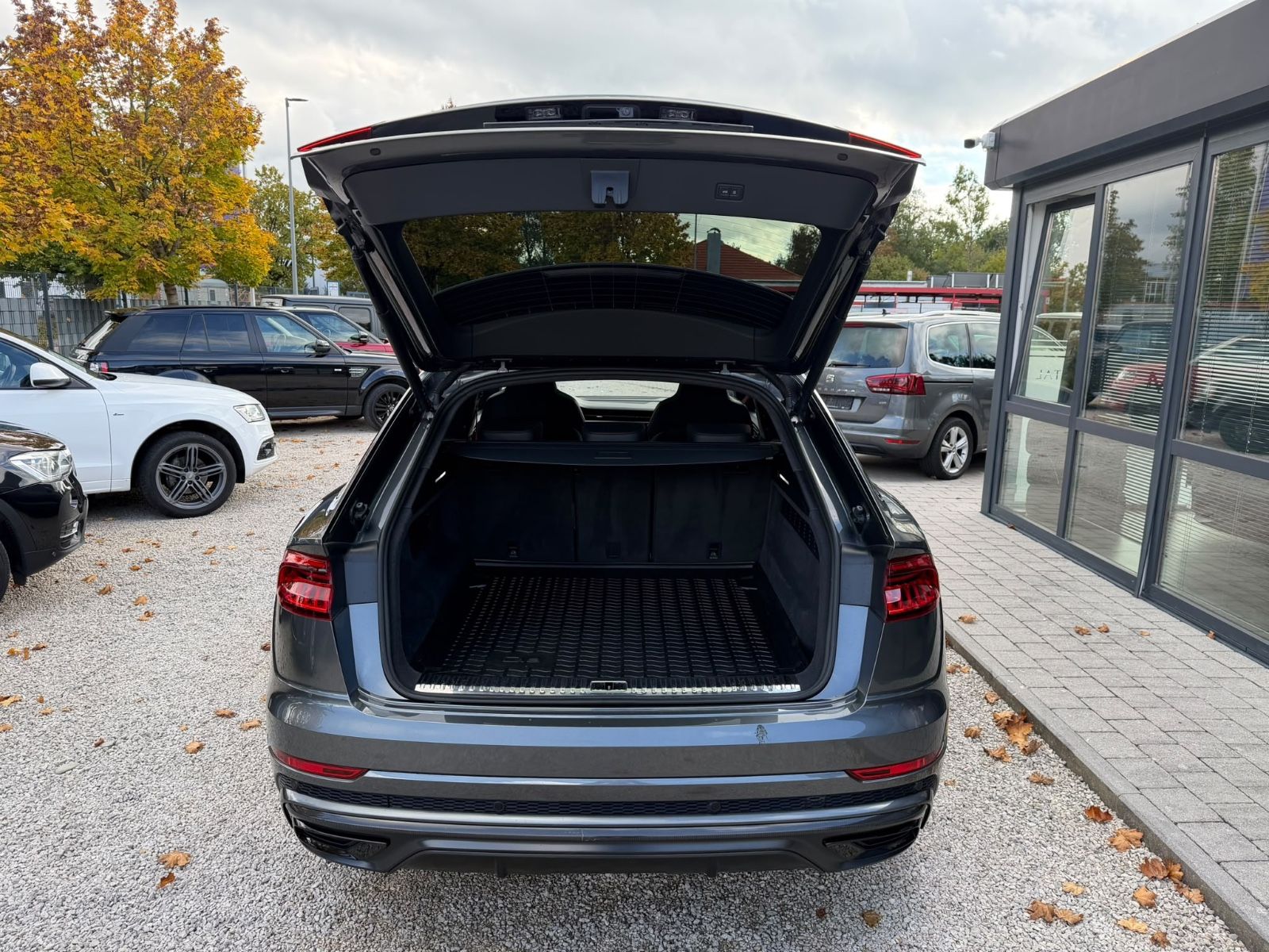 AUDI Q8 Q8 50 TDI quattro Competition Plus*Carbon*Pano*, Ansicht 17