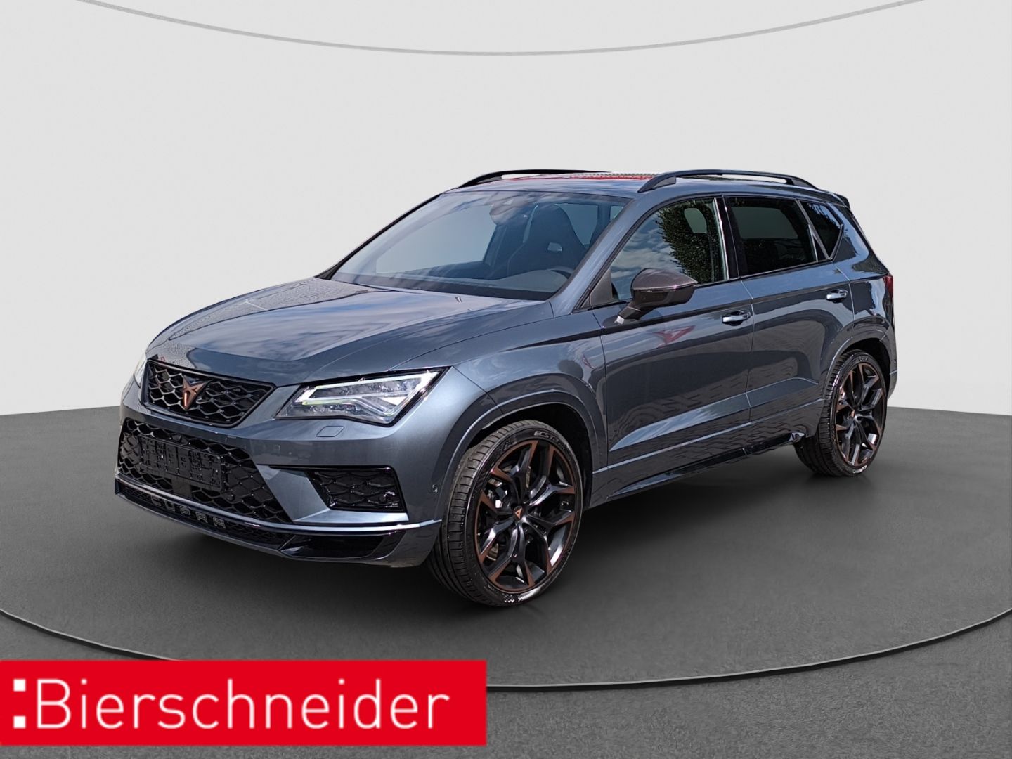 Cupra Ateca 2.0 TSI DSG 4Drive VZ AHK 20 ACC