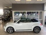 Volkswagen Beetle Cabrio Sport 1.4 TSI DSG Leder 8fach Navi - Volkswagen Beetle aus 2013