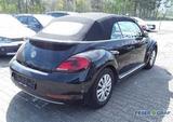 Volkswagen New Beetle Cabrio SOUND 1.2 TSI Navi PDC SiHz LM - scheckheftgepflegte VW New Beetle
