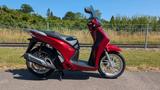 Honda SH150 - EXPORT / Wiederverkäufer - ROLLER VON 126 BIS 250 CCM