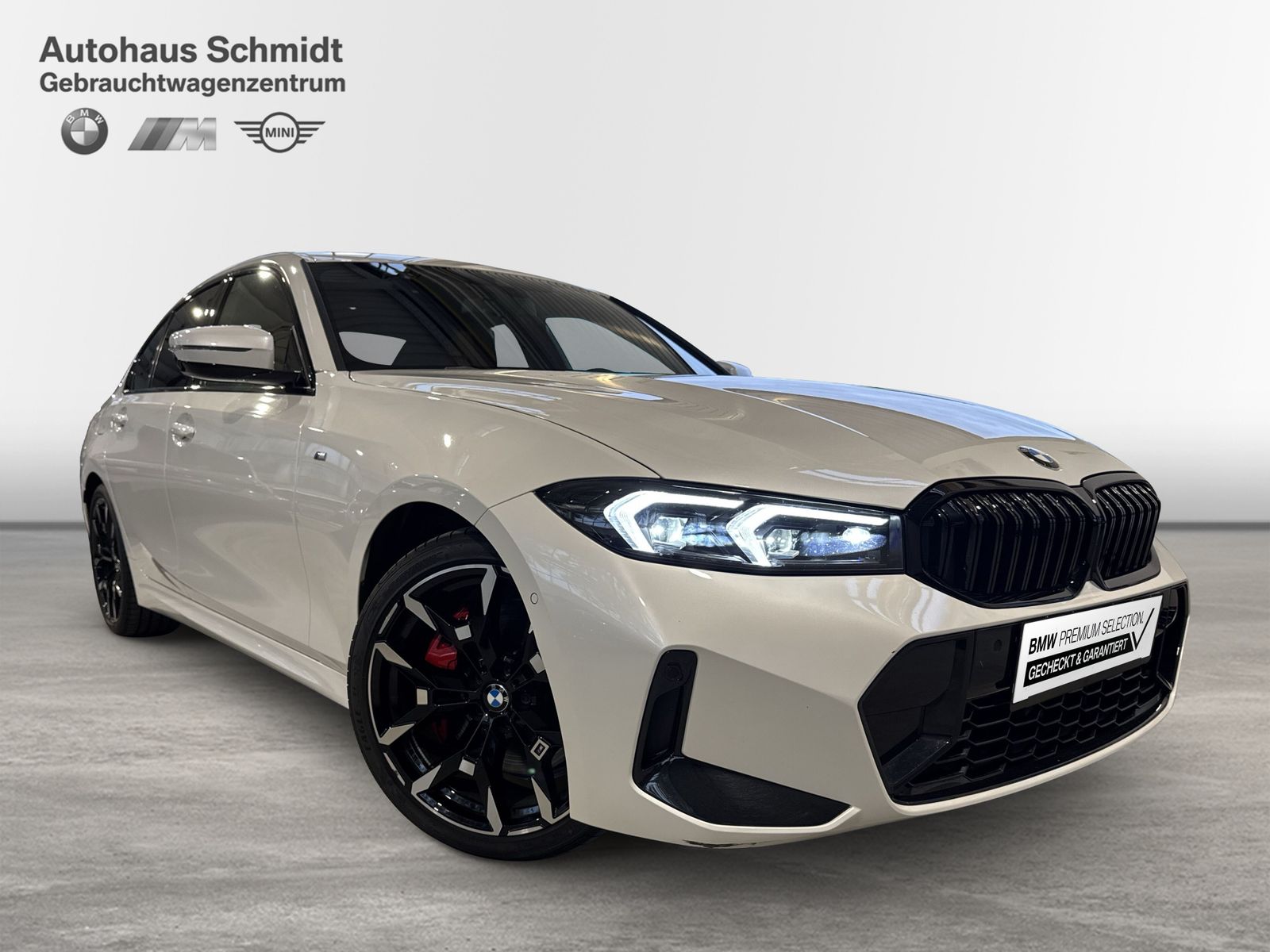 BMW 318 - Bild 6