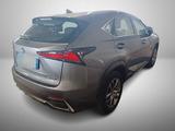 Lexus NX 300 2.5 HEV E-CVT Kamera/ACC/KeyLess/LED - Lexus NX 300 Gebrauchtwagen