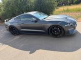 Ford Mustang 5.0 Ti-VCT V8 GT Auto GT - Ford Mustang Gebrauchtwagen in Köln