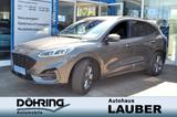 Ford Kuga 1,5 ST-Line X Navi+Sync Techno+Assist-Pack - Ford Kuga in Braunschweig