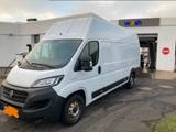 Fiat Ducato / Camper - Fiat aus 2021