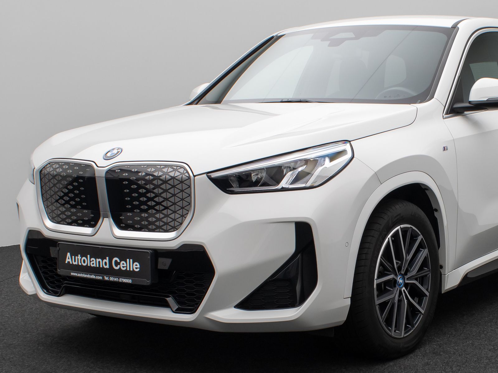 Fahrzeugabbildung BMW iX1 xD30  M Sport Kamera DAB Fernlichtassist AHK