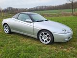 Alfa Romeo SPIDER 2,0 JTS LEDER DAB+,BLACKLINE VON ALFISTA - Alfa Romeo Spider aus 2003