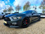 Ford Mustang 5.0 GT Performance / 441PS / Brachial - Ford Mustang: 5.0