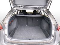 Skoda Octavia - Vorschau Bild 6