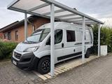 Weinsberg Fiat Ducato Caratour 600 MQ 50 Jahre Edition - Wohnwagen & Wohnmobile in Münster