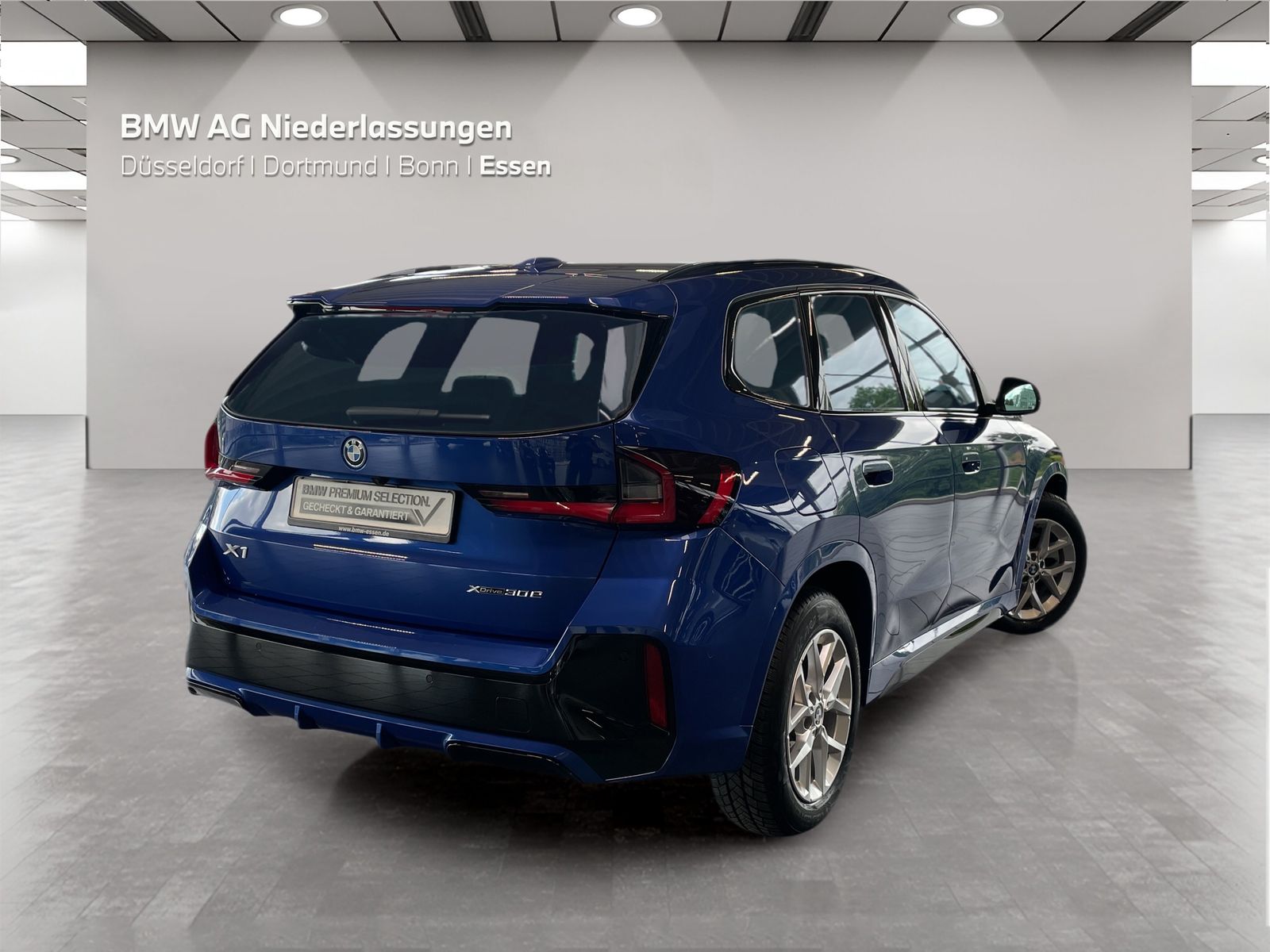 BMW X1 xDrive30e M Sport AHK Driv.Assist.Prof LED foto 5