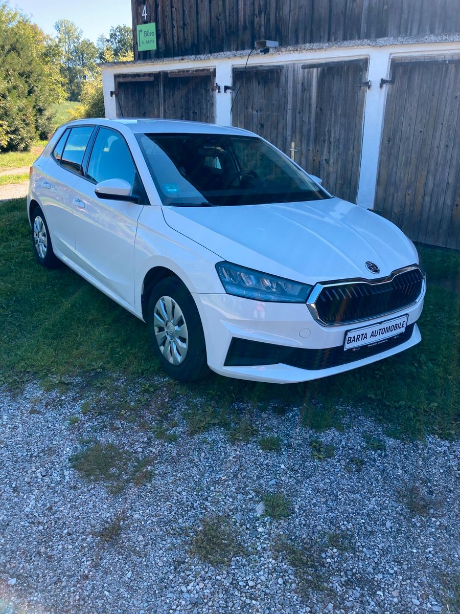 Skoda Fabia - 1