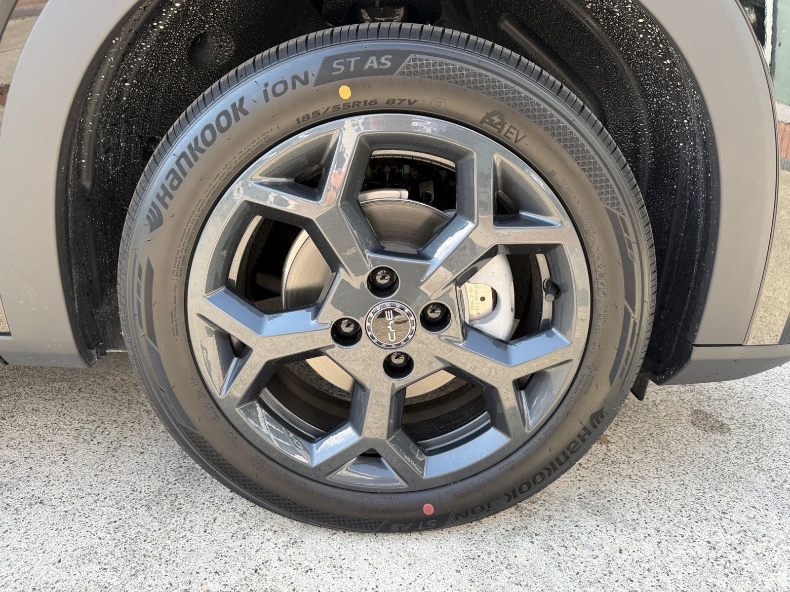 BYD DOLPHIN SURF
