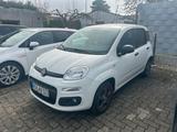Fiat Panda 1.2 Lounge Klima Bluetooth NS PDC Alu - gebrauchte Fiat Panda aus dem Jahr 2018