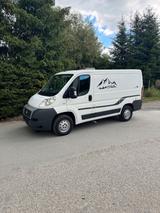 Fiat ducato 100 multijet - gebrauchte Fiat Ducato aus dem Jahr 2010