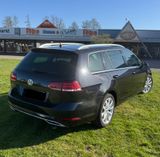 Volkswagen Golf 1.5 TSI DSG Highline Var. digital 8-fachTÜV - Volkswagen Golf: 8.1