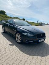 Jaguar XJ Portfolio 5.0 V8 Portfolio - Jaguar Gebrauchtwagen von 2010