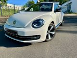 Volkswagen Beetle  Cabrio DSG 60's top gepflegt  - Volkswagen Beetle in Dortmund