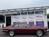 Jaguar XJS #Aut.# *H-Kennzeichen*Tüv  11/2027*Leder* - Jaguar XJS Gebrauchtwagen