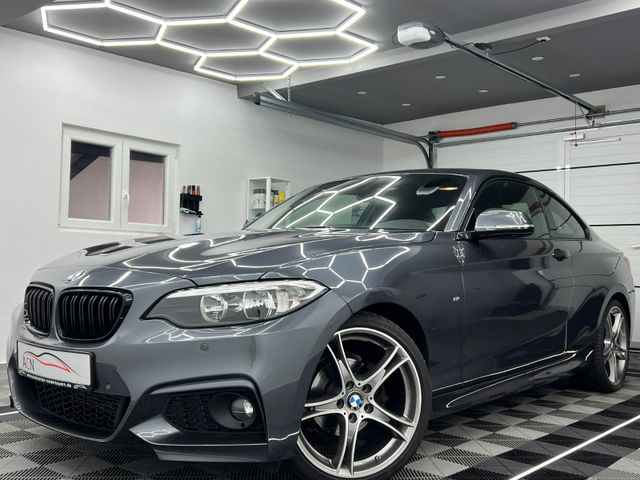 BMW 218 i Coupe M SPORT PAKET/SHZ/H&K/19 ZOLL/19%