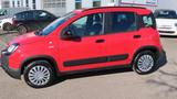 Fiat Panda Waze 1,2  69PS  + Zahnriemen neu +WR