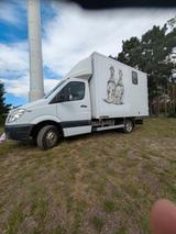 Mercedes-Benz Sprinter Pferdetransporter 