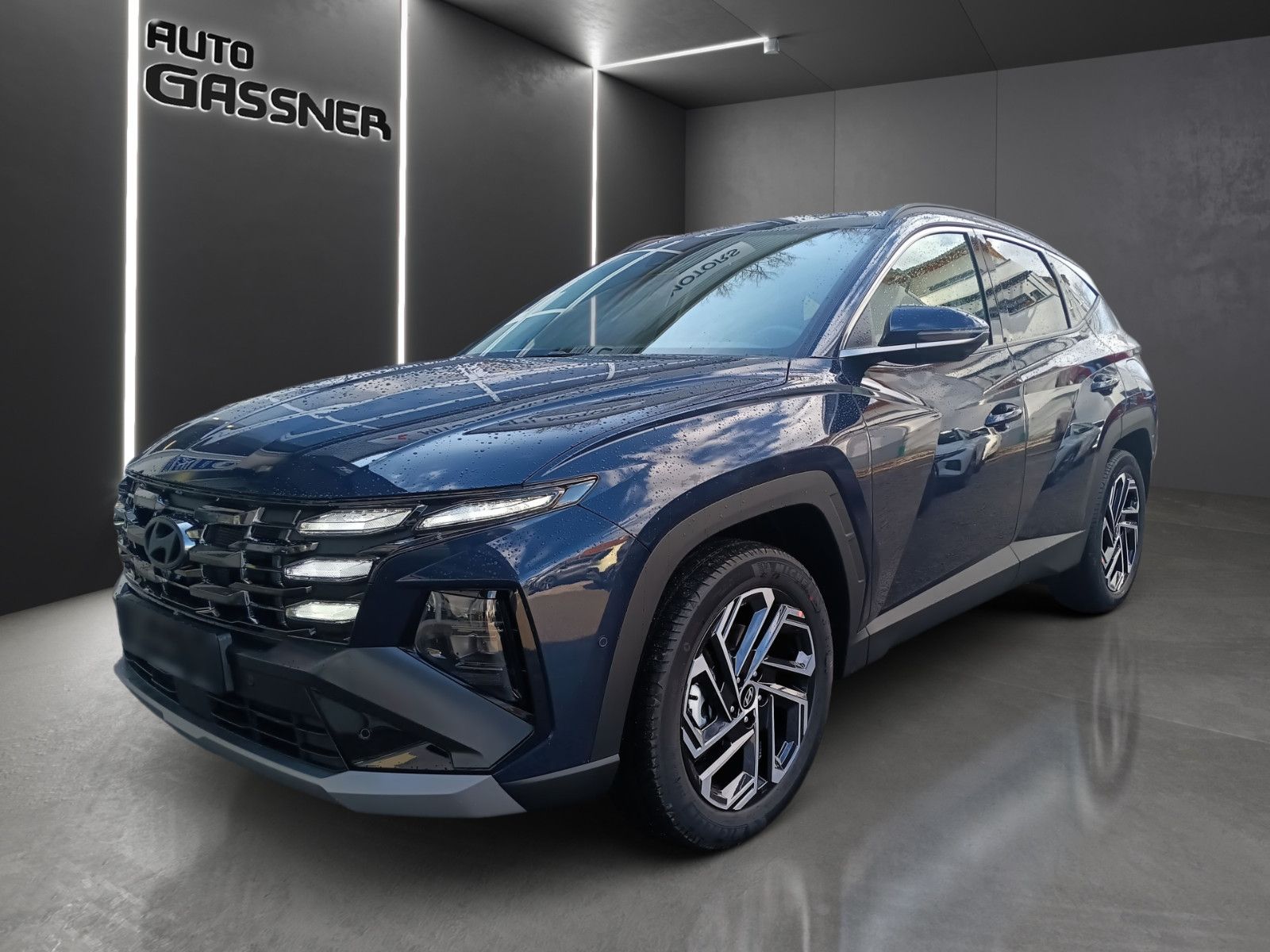 Fahrzeugabbildung Hyundai Tucson Hybrid Prime 239PS 4WD Assip.