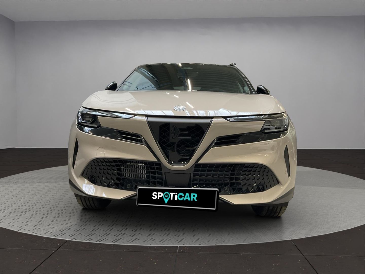 Alfa Romeo Junior - Bild 3