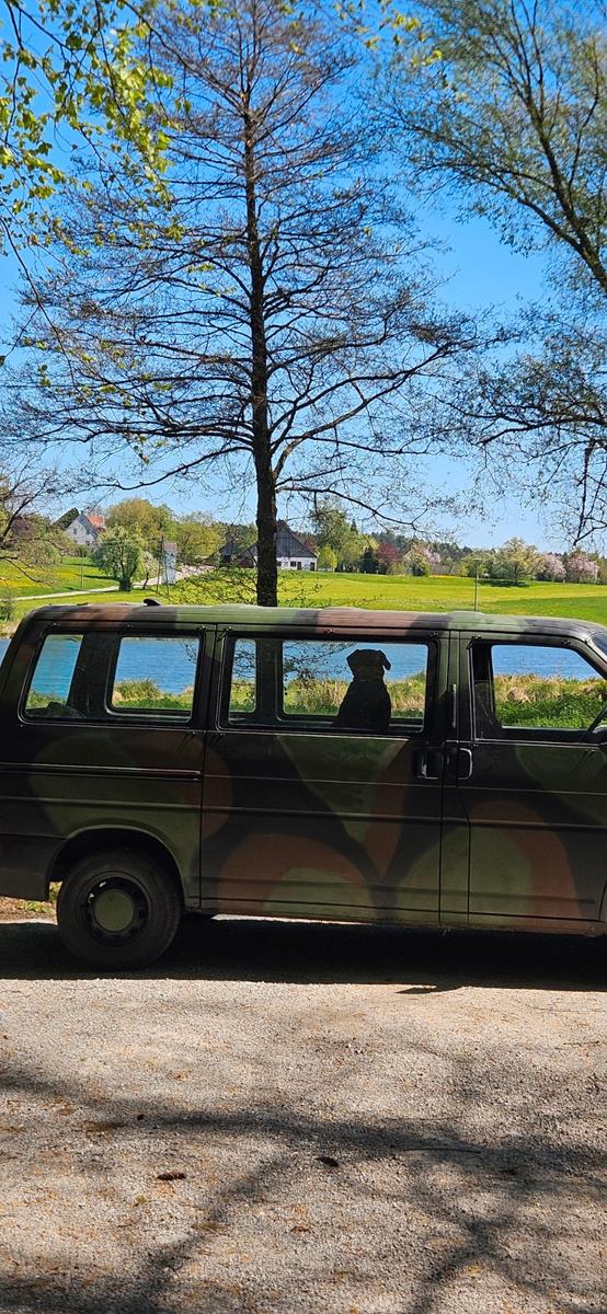 Volkswagen T4 andere