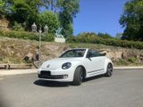 Volkswagen Beetle  Cabriolet  Club  R-Line Twister Aluräder - : Cabrio, Club