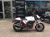 SYM Wolf 300 CI - Offers matching your search criteria