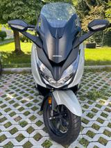 Honda FORZA 350, NEU für gebraucht-Preis!!! - HONDA FORZA 350