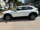 Mazda CX-30 Benzin 150PS 6GS Selection Navi - weiße Mazda CX-30