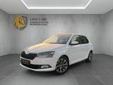 Skoda Fabia 1.0 TSI DSG CLEVER*NAVI*PANO*ACC*CAM*LED* - Skoda Fabia Gebrauchtwagen in Braunschweig
