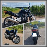 Honda CBF 600, schwarz, 2005, - Offers matching your search criteria