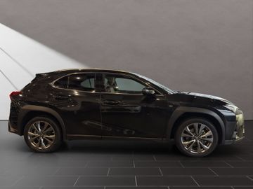Lexus UX - 6