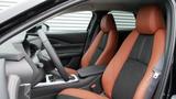 Mazda CX-30 2.5L e-SKYACTIV G 140 PS 6AT  Nagisa - Mazda CX-30 Nagisa mit Hybrid-Antrieb (Benzin/Elektro)