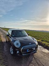 MINI Cooper Cooper - Mini Cooper von privat